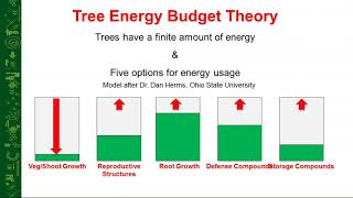 Using Cambistat to Preserve Our Legacy Trees [upl. by Cartan]