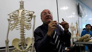 Practical osteology 2  clavicle  part 2  by Dr Wahdan [upl. by Zat]