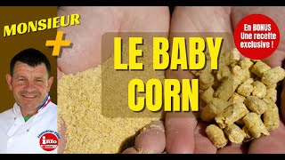 Tout sur le BABY CORN [upl. by Anohsal]