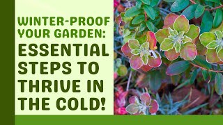 quotWinterProof Your Garden Essential Steps to Thrive in the Coldquot [upl. by Eiblehs65]