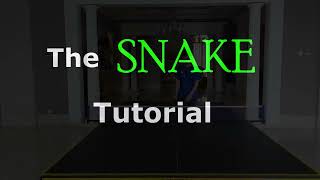 The Viral Snake Shot  In Depth Tutorial [upl. by Arza942]