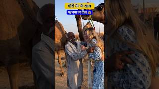 बाबा को लीवा पसंद आ गई शादी करेंगी pushkar pushkarfair pushkarmela [upl. by Bonney279]