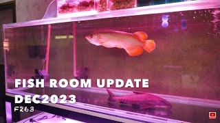 Update On All Of My Fish f263 [upl. by Ihsar420]