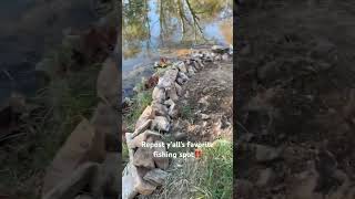 fallfish octobervibes shortvideo fishinggear earthoutdoors respectnature fishingequipment [upl. by Hannus]