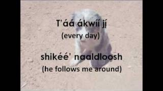 Navajo Puppy Song Lyrics amp Translation [upl. by Letniuq]