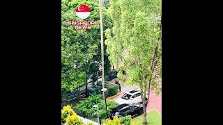 Foodpanda rider vs condo security guard fighting at Bukit Timah condo in Singapore [upl. by Jane717]