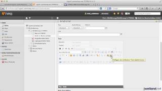 TYPO3 für Redakteure Teil 12 Kopieren und Einfügen im RTE Rich Text Editor [upl. by Yevi]