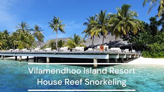 Vilamendhoo Maldives Snorkeling  We saw sharks rays turtles and moray eels [upl. by Icyac]