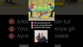 Arka Bacak Yöntemi köpekler köpekadam çağrıaracı köpek youtubecreatorcommunity [upl. by Sylram137]