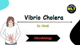 vibrio cholera lab diagnosis in hindi  vibrio cholera microbiology in hindi [upl. by Vanden]