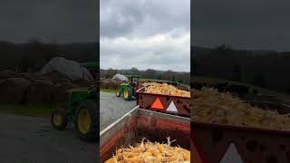 Let’s see if this is going to work Pulling three wagon train in the barncorn familyfarm farming [upl. by Florenza]