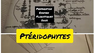 Préparation dexamen de Floristique Ptéridophytes SVIS4 [upl. by Bradan]