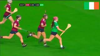 Dicksboro v Sarsfields All Ireland Senior Camogie Club Final 2023 [upl. by Atiekram]