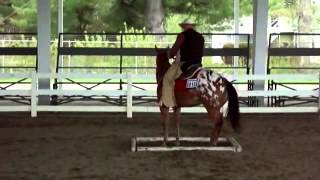 Appaloosa Horse Event Videos [upl. by Ardnahc]