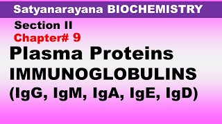 Chp9 Satyanarayana Biochemistry  IMMUNOGLOBULINS  Plasma Proteins  Biochemistry [upl. by Hagan]