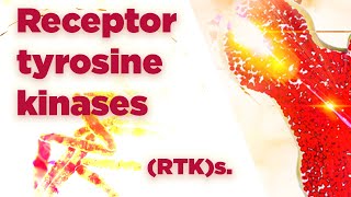 Receptor tyrosine kinases  RTKs  Cell Signaling [upl. by Cochard887]