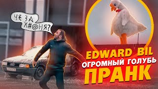 EDWARD BIL ЗЛОЙ ГОЛУБЬ ПРАНК  НАПАЛ НА МАШИНУ  реакция людей на ОГРОМНУЮ ПТИЦУ [upl. by Thetis81]