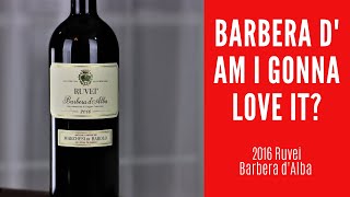 2016 Ruvei Barbera dAlba Wine Review [upl. by Dranreb191]