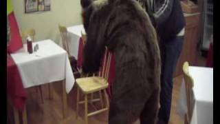 ursul la londra  Romania winter traditions  the bear  volovat [upl. by Raines]