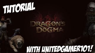 Dragons Dogma  Early Infinite Gold [upl. by Keele664]