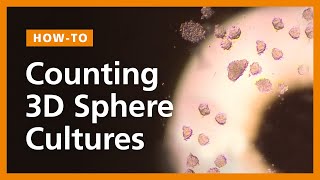 How to Count 3D Sphere Cultures Mammospheres Neurospheres Cancer Spheroids and PSC Aggregates [upl. by Etterraj]