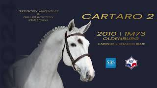 Cartaro 2  Grégory Wathelet amp Gilles Botton Stallions [upl. by Kalinda]