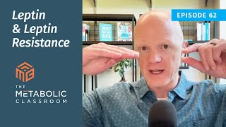 Leptin and Leptin Resistance Explained Insights from Dr Ben Bikman [upl. by Naggem]