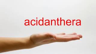 How to Pronounce acidanthera  American English [upl. by Patrice468]