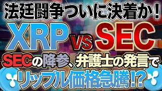 【リップル】リップル裁判最新情報！リップル勝利で価格急騰！？ [upl. by Consuelo557]