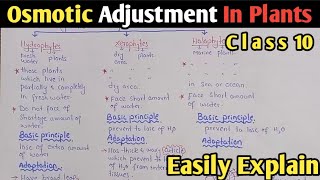 Osmotic Adjustment In Plants  Hydrophytes  Xerophytes  Halophytes  UrduHindi [upl. by Brand]
