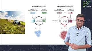 Car Accident Oncogenes and Tumor Suppressor genes [upl. by Naimed267]