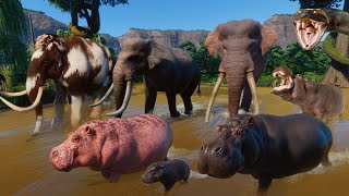 30 Elephants VS 30 Hippopotamus Animals Race in Planet Zoo included Woolly Mammoth amp Pygmy Hippo [upl. by Yenal427]