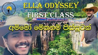 Colombo to Badulla Ella Odyssey Train Tour [upl. by Nagek724]