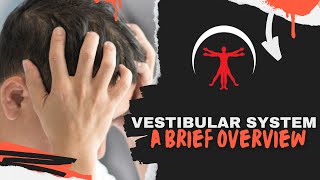 A Brief Overview of the Vestibular System [upl. by Esilana]