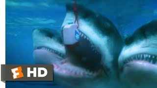 5Headed Shark Attack 2017  Exploding the Shark Scene 710  Movieclips [upl. by Akcirderf999]