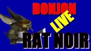 Dofus Donjon en Live  Rat noir [upl. by Aninad]