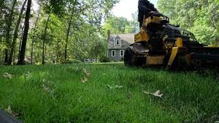 Dethatching a Lawn [upl. by Eduj]