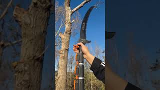 You can stand down from this argestable saw and cut down a tall tree shortvideo [upl. by Nodnerb]