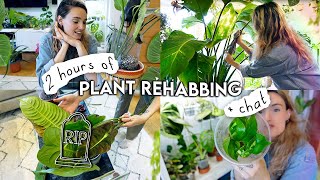 🔔 2 Hours Of Houseplant REHAB 🌱 Repotting Propagating Styling Rehabbing  Organising Plants [upl. by Ocin]