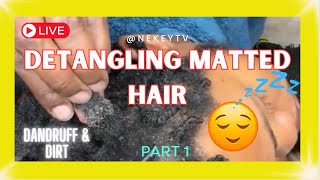 ASMR DETANGLING DIRTY MATTED NATURAL HAIR Part 1 satisfying naturalhair dandruff [upl. by Waers]