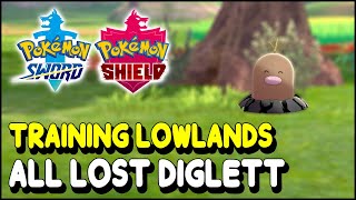 Pokemon Sword amp Shield All Diglett Locations in Training Lowlands The Isle of Armor DLC [upl. by Eizus]