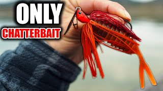 The ONLY 2 CHATTERBAIT Combos you NEED [upl. by Edra]