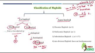 Numerical chr abberations  Euploid  Haploids  origin types application diff bw mono amp halpoid [upl. by Aneeres640]