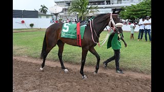 JAMAICA RACING Magnificent Force Finally Gets It Right In Sat Jun 22 2024 [upl. by Fromma356]