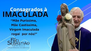 quotMãe Puríssima Mãe Castíssima Virgem Imaculada rogai por nósquot  Frei Sebastião Benito Quaglio [upl. by Wennerholn]