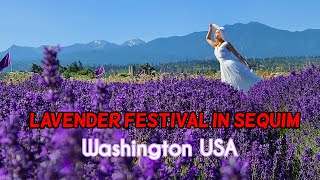 Lavender Festival in Sequim Washington USA [upl. by Pirzada]