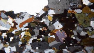 AmphiboleBiotite MicroTonalite Thin Section [upl. by Hsiri]