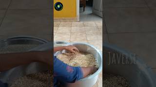 Preparing food for birds🐦‍⬛shortsshortsvideostraydogsfeeder pets [upl. by Curren]