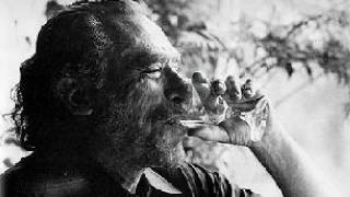 quotThe Secret of My Endurancequot by Charles Bukowski read by Tom OBedlam [upl. by Buschi586]