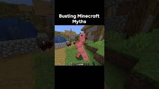 Busting Minecraft Myths [upl. by Ellerud]